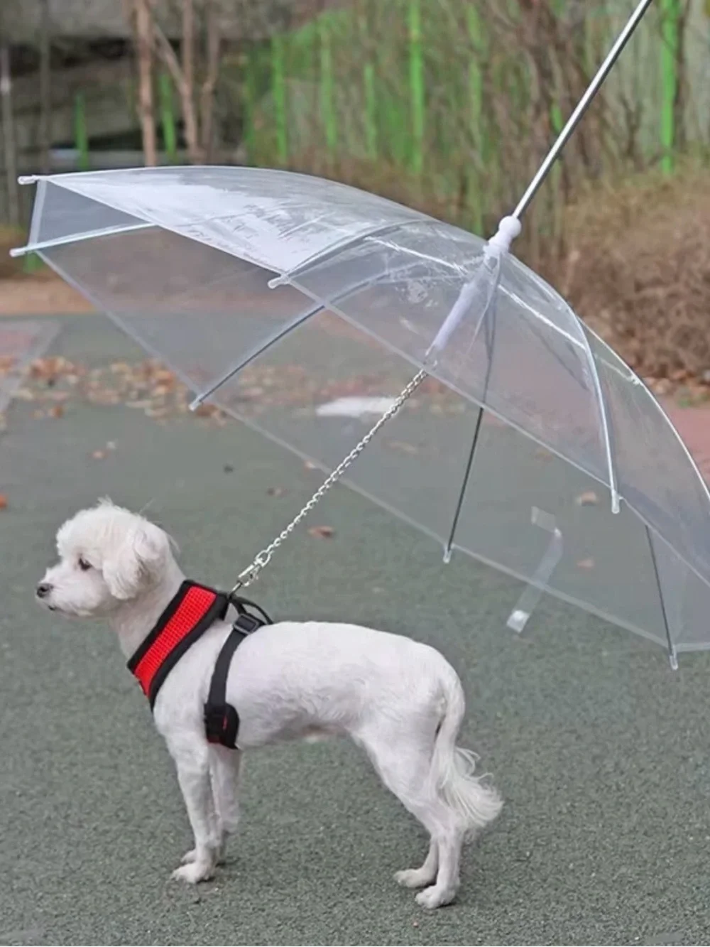 Clear Dog Umbrella for Small/Medium Size Dogs